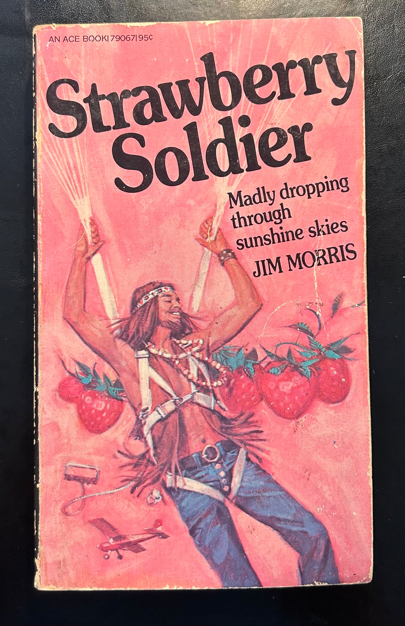 Strawberry Soldier